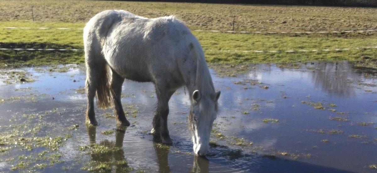 Water water everywhere