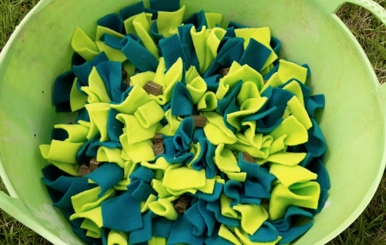 Product Review – Snuffle Mat by Kara